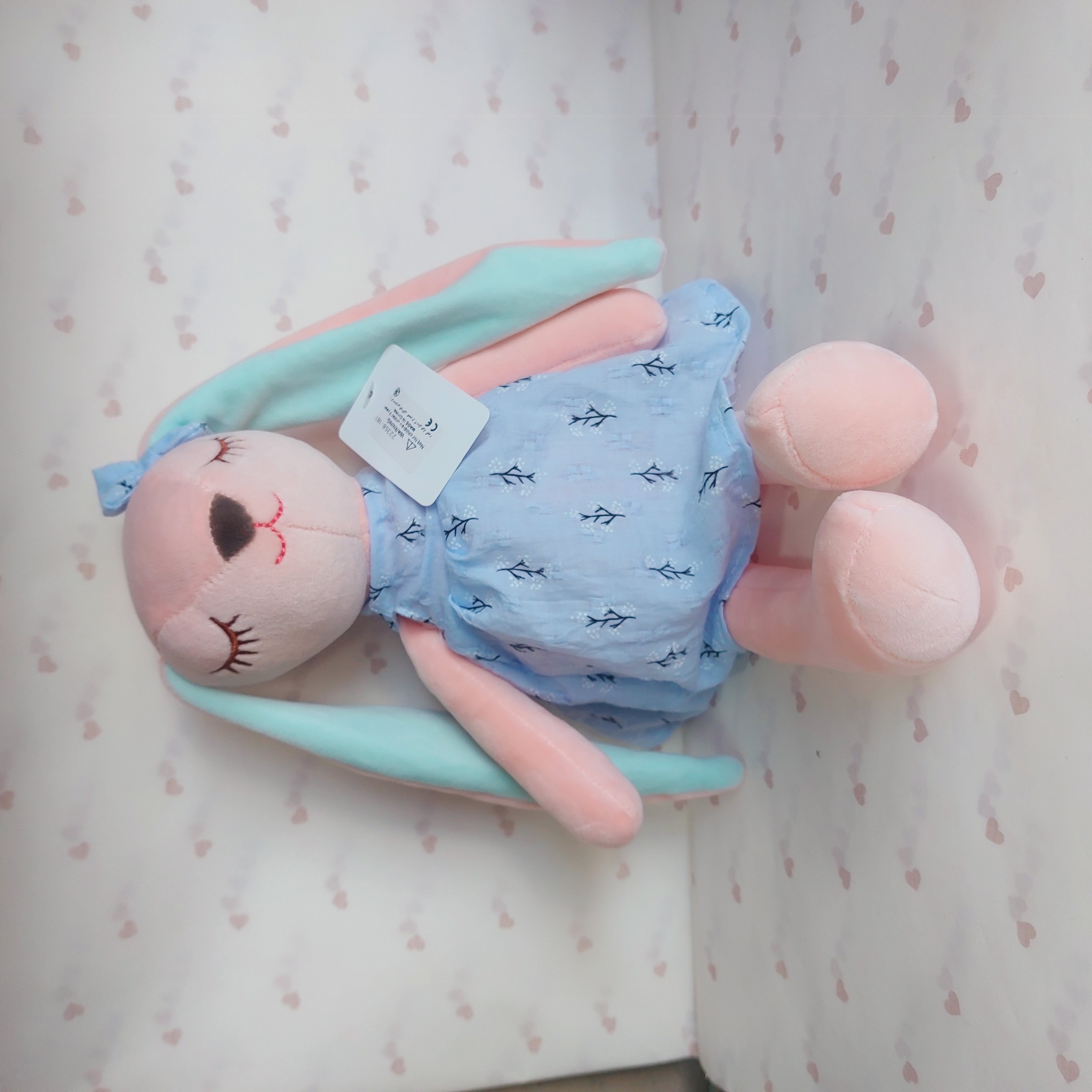 خرگوش لباس دار