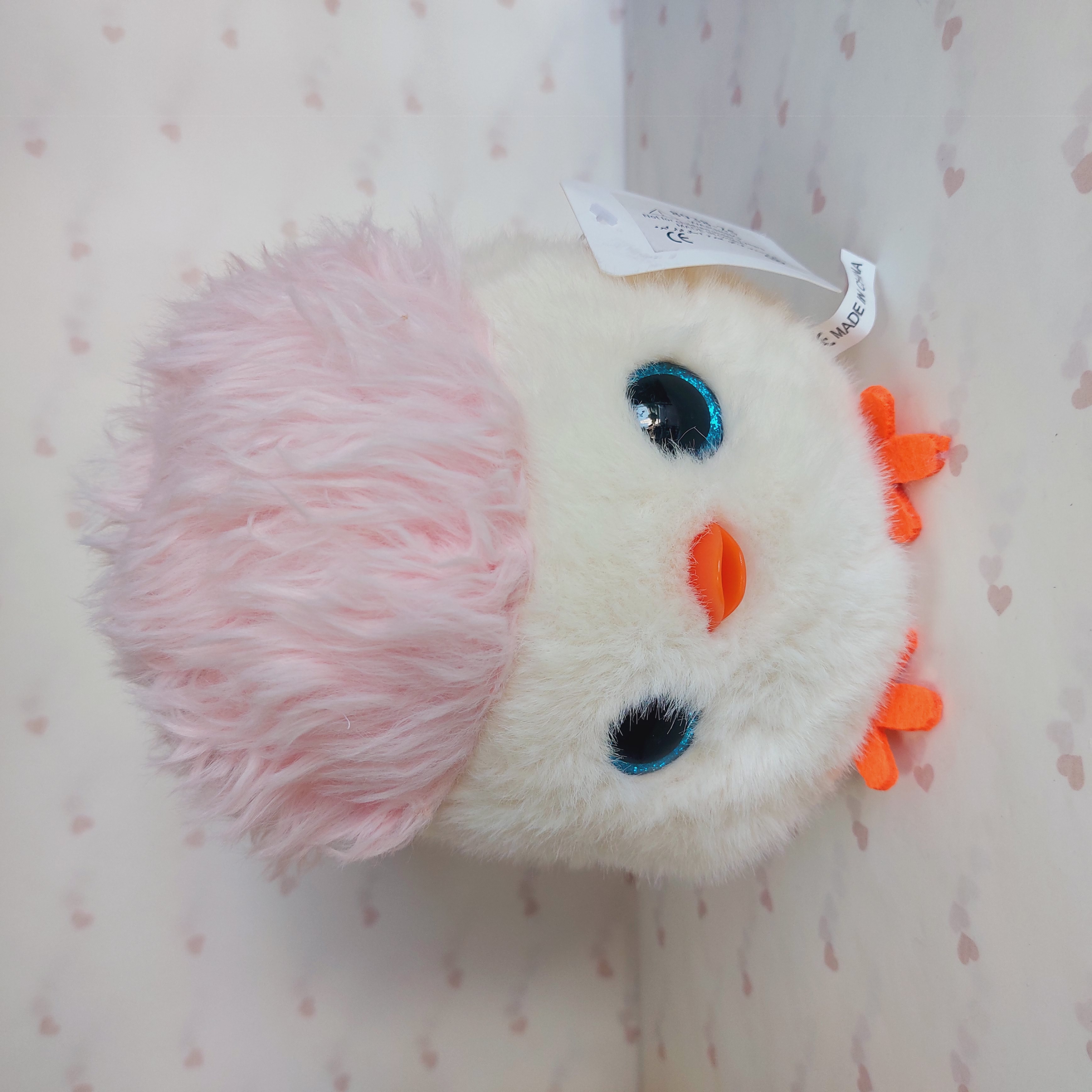 اردک مو رنگی