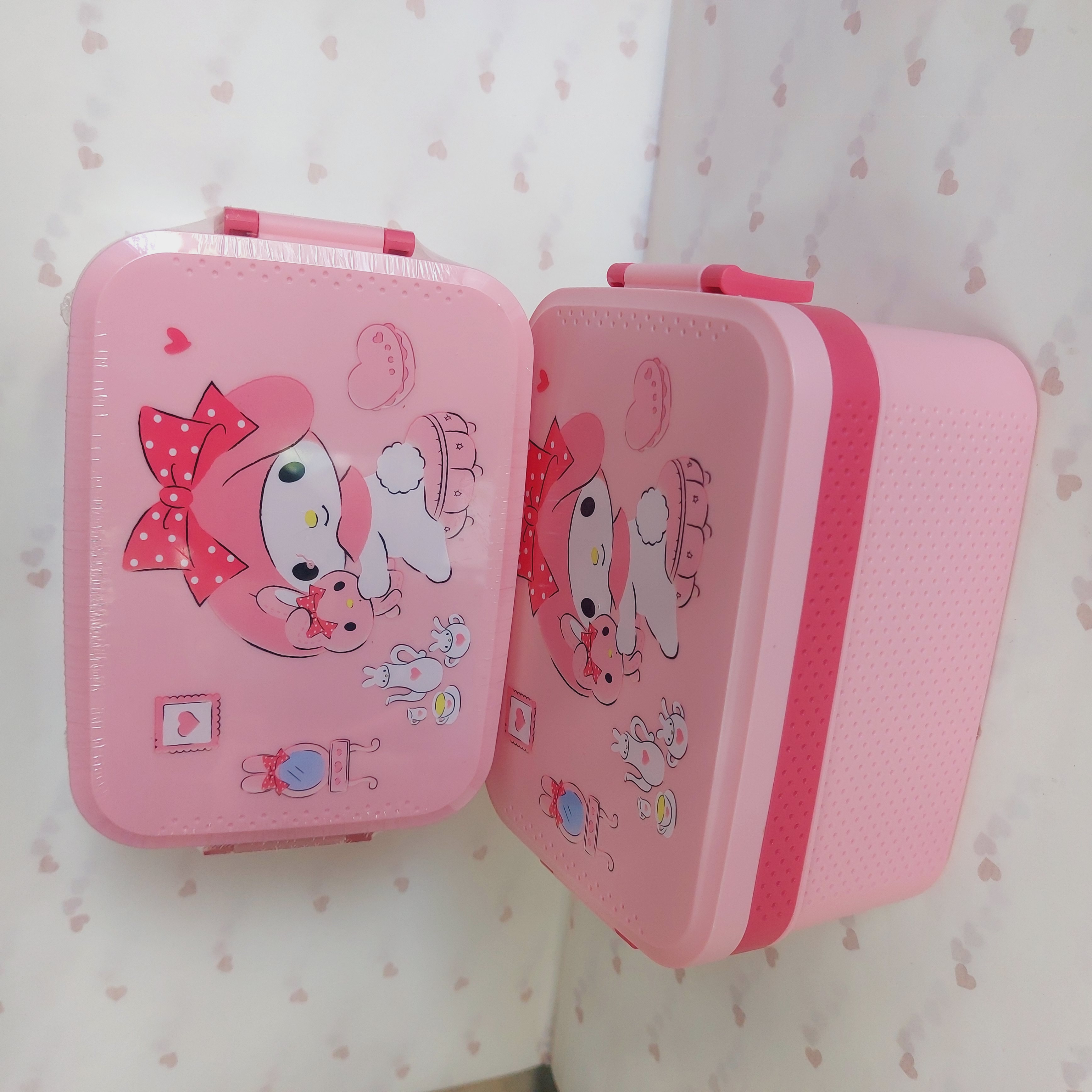 ظرف غذای دو تکه ملودی