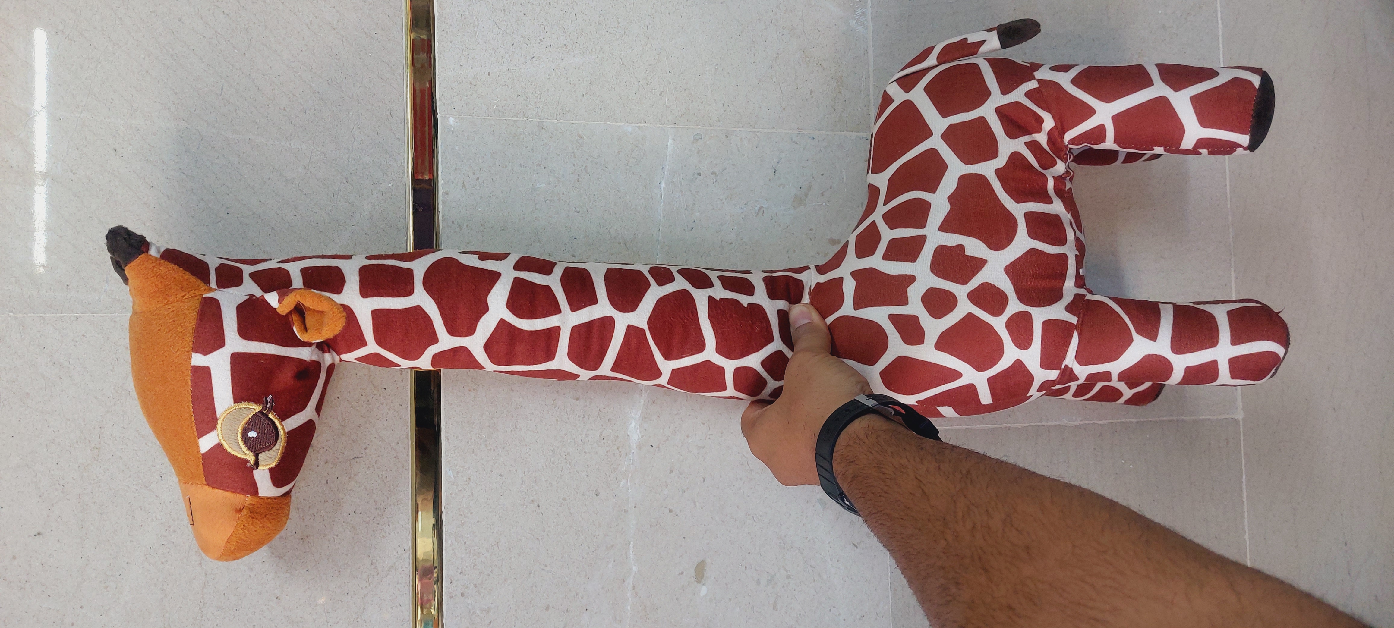 زرافه پولیشی کوچک و بزرگ