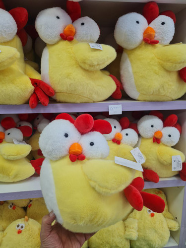 Bulgy-Eyed خروس چشم بزرگ