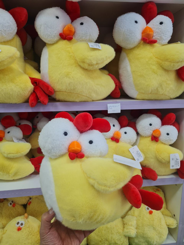 Bulgy-Eyed خروس چشم بزرگ