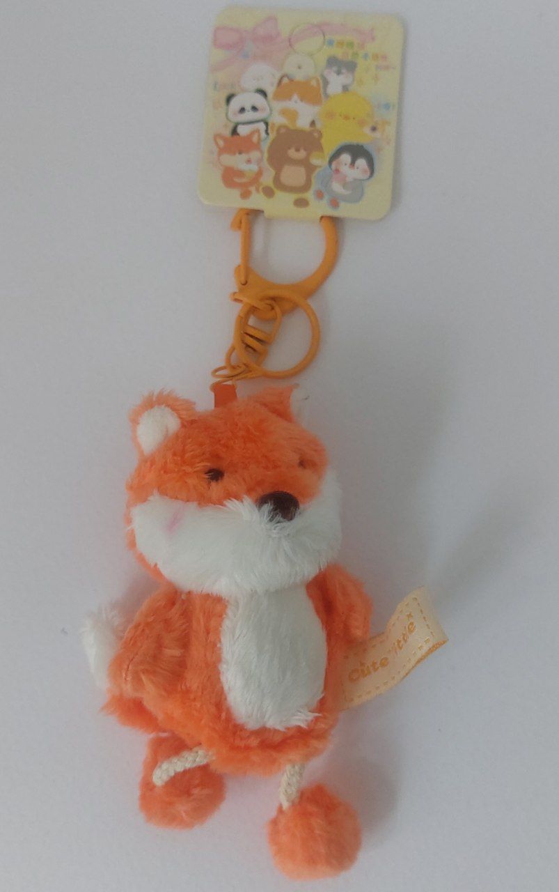 جاسوئیچی پولیشی