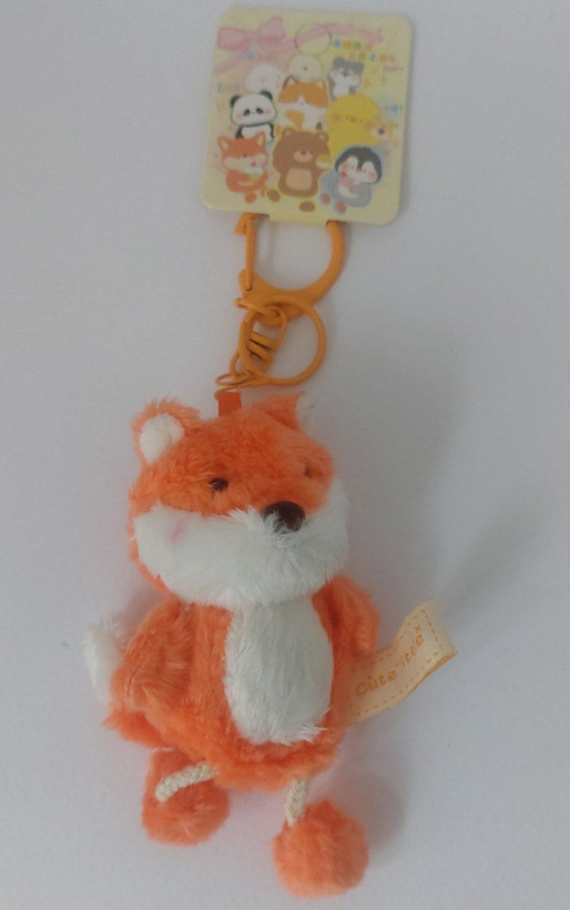 جاسوئیچی پولیشی