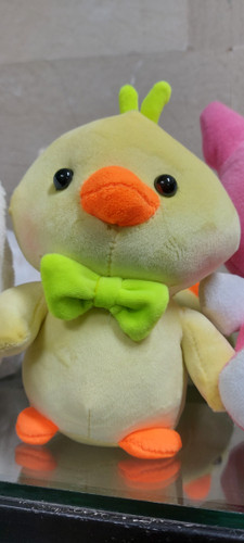 جوجه پاپیونی