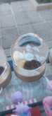 گوی شیشه ای زیر چوبی چراغدار قطر ۶سانت